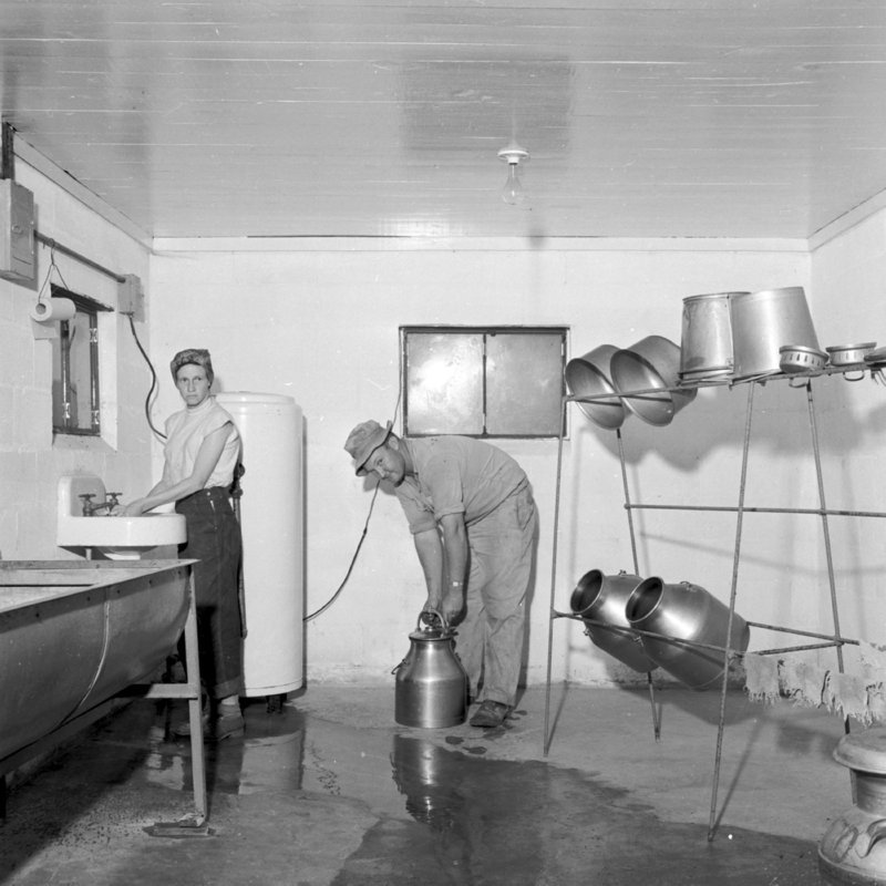 075_Cleanliness played a vital role. (1951).jpg